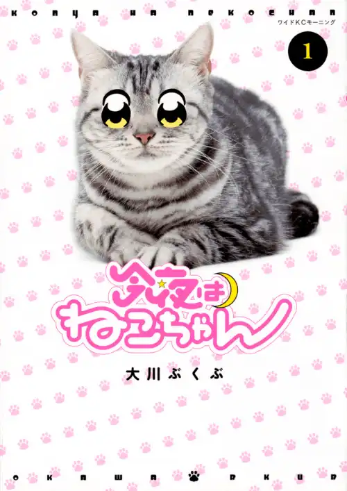 오늘 밤은 고양이